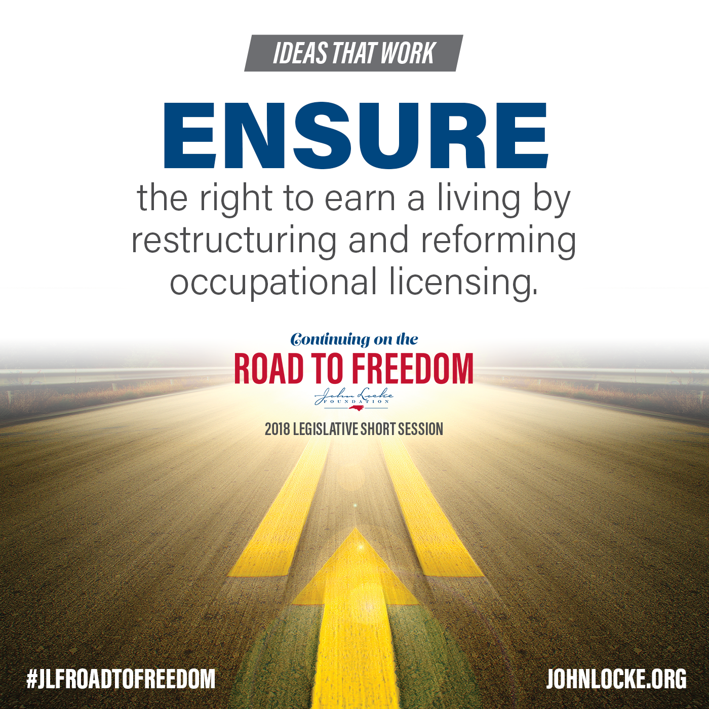 Road to Freedom occupational licensing