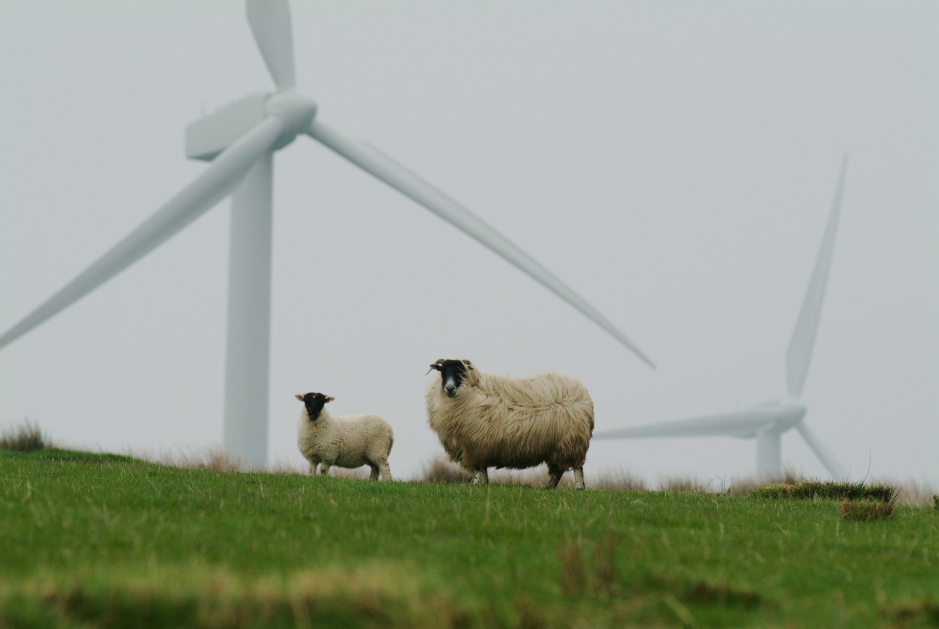 Wind, solar meet taxpayers' 'breaking point"