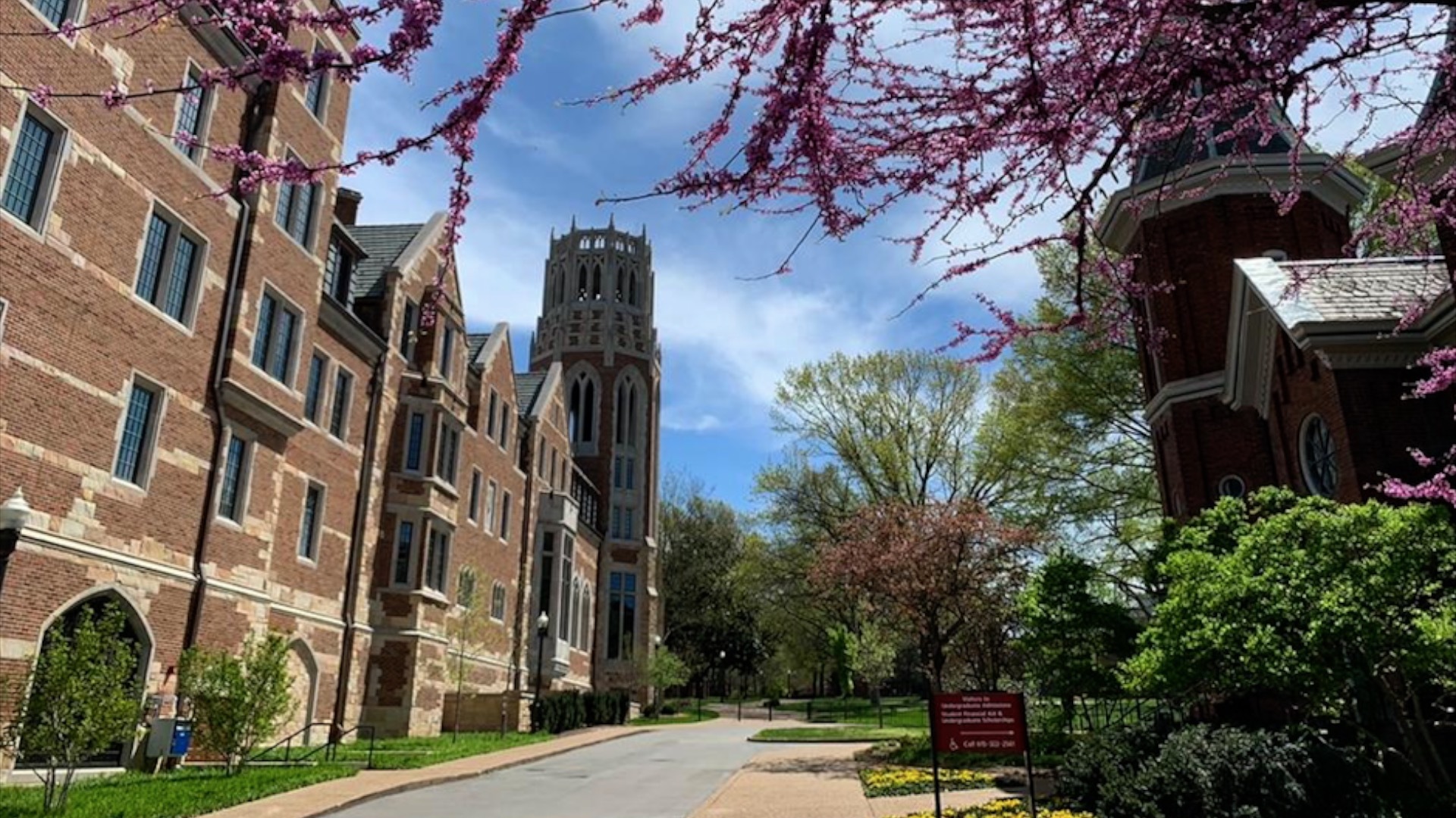 Pros and cons of Vanderbilt's recent purpose statement